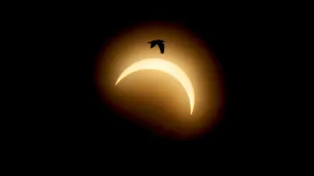 � Reuters