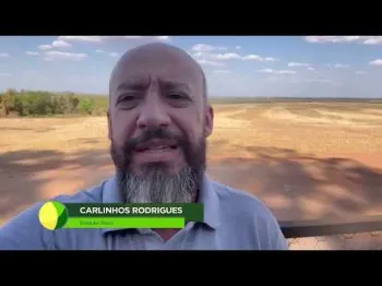 Prepara��o do solo � essencial antes do plantio da nova safra de soja
