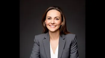 Ana Seleme, diretora executiva da Febrapo (Ajustada por IA)