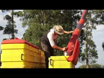 Reprodu��o / Canal Rural