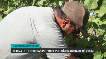 Deriva de herbicidas causa preju�zos e exige aplica��o eficiente