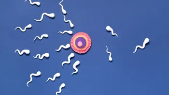 � Shutterstock