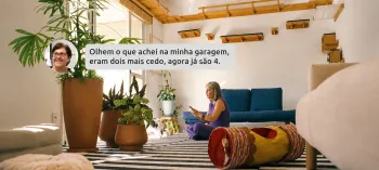 Divulga��o