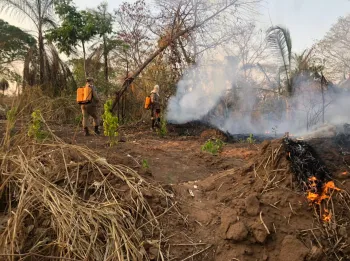 Inc�ndio na terra ind�gena Tadarimana, em Rondon�polis. (Foto: Corpo de Bombeiros)