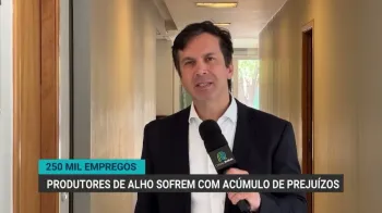 Produtores de alho acumulam preju�zos e crise amea�a mais de 250 mil empregos