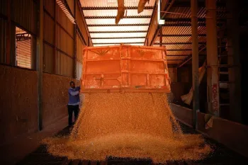 Um trabalhador descarrega gr�os de milho de um caminh�o para um silo em uma fazenda pr�xima a Bras�lia, no Brasil, em 22 de agosto de 2023. REUTERS/Adriano Machado