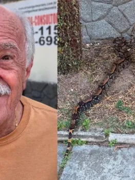 Ary Fontoura encontra cobra em sua casa - Reprodu��o de v�deo
