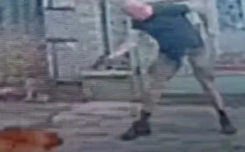 Homem mata cachorro a tiros na Rua Sab�nia Lima, na Tijuca - Reprodu��o / Redes Sociais