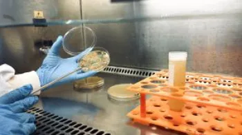 Bioinsumos desenvolvidos pela Embrapa Hortali�as.