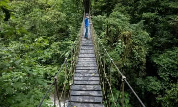 Ecoturismo em �reas de preserva��o ambiental representa uma intera��o direta entre a presen�a humana e a estabilidade de ecossistemas vulner�veis