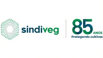 Sindiveg (Ajustada por IA)