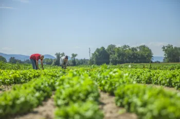 Conhecimentos tradicionais da Amaz�nia podem impulsionar a agricultura regenerativa