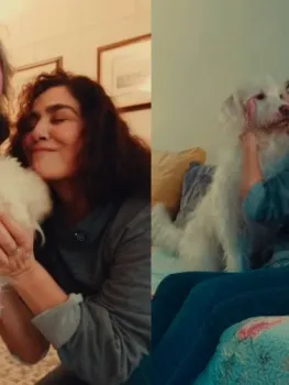Let�cia Sabatella mostra reencontro com cachorro ap�s decis�o judicial - Reprodu��o de v�deo