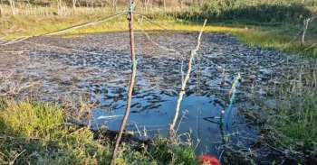 Pai e filho mortos no tanque rural de Planaltino durante servi�o de bomba d?�gua