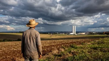 Imagem gerada por IA para o Canal Rural