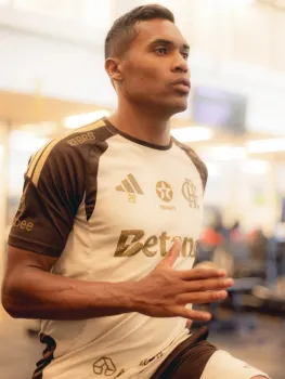 Aos 35 anos, Alex Sandro n�o consegue ter uma sequ�ncia de partidas Adriano Fontes / Flamengo
