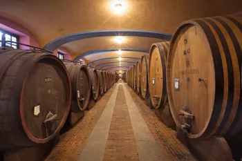 Adega da Fontanafredda, vin�cola centen�ria da regi�o de Piemonte, na It�lia, e produtora do c�lebre vinho de guarda Barolo Fontanafredda.