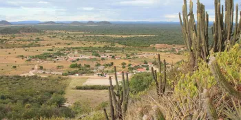 Caatinga | Foto: Coopercuc