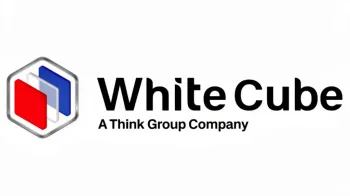 Alexandre Azevedo, CEO da White Cube (Ajustada por IA)