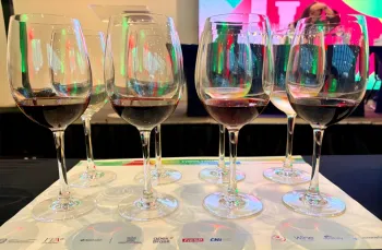 Vinhos: A experi�ncia sensorial de degustar vinhos em compara��o com outras formas de consumo.