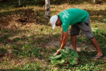 Evento de lan�amento do PNAE no Par�, marcando a expans�o do projeto agroecol�gico.