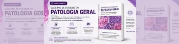 Divulga��o