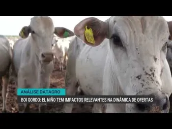 Reprodu��o/YouTube