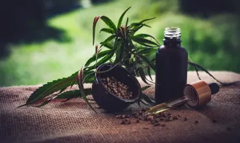CBD-Infos-com/ Pixabay