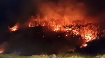 Ap�s fogo em sof�, vegeta��o foi consumida pelo fogo | Imagem: Maiara Luz