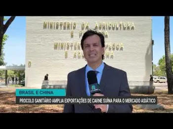Imagem ilustrativa da reportagem
