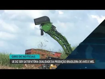 Canal Rural