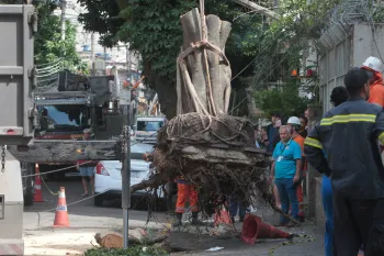 �rvore caiu sobre carro na Rua Bar�o de Pirassinunga; Equipes da Light e Comlurb atuam no local - Reginaldo Pimenta/Ag�ncia O DIA