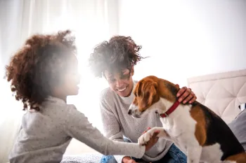 Crian�as e pets podem desenvolver habilidades de comunica��o