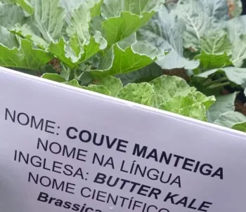 Projeto de escola estadual em C�ceres torna aprendizado em ingl�s mais atrativo e aumenta engajamento dos alunos
