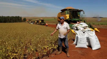Produ��o agr�cola no Brasil: safra recorde em meio a desafios clim�ticos e econ�micos, com foco em tecnologia e sustentabilidade.