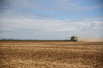 Safra recorde de gr�os no Brasil em 2026, com foco em tecnologia e sustentabilidade no agroneg�cio. (Pexels)