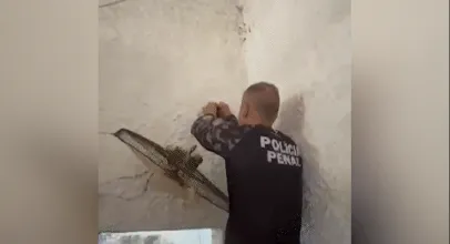 Opera��o em pres�dio do Rio confisca 26 celulares e drogas da parede de cela