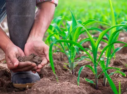 Agro ajuda o Brasil, mas quem ajuda o produtor rural?
