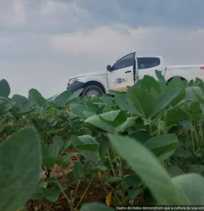 Vazio sanit�rio da soja j� est� em vig�ncia em Mato Grosso
