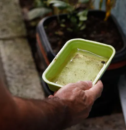 El Ni�o pode aumentar casos de chikungunya e dengue no Brasil