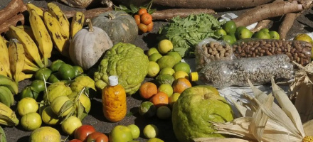 Governo entrega 3,5 toneladas de comida orgnica a cozinhas solidrias na Bahia
