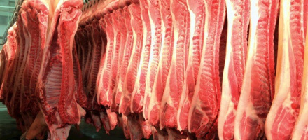 Crescimento nas Exportaes de Carne Suna em Fevereiro Impulsiona Receita em 32,6%