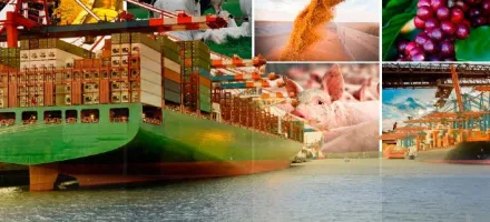 Exporta��es do agroneg�cio somam US$ 10,7 bilh�es em janeiro e recuam 23% frente a dezembro