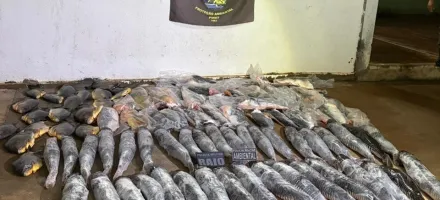 Batalh�o Ambiental da PM prende homem com mais de 340 quilos de pescado ilegal em Cuiab�