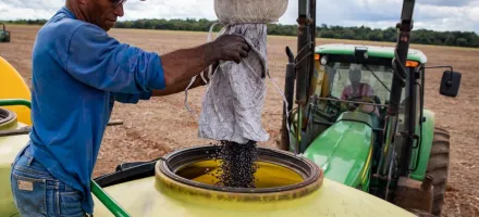 Agropecu�ria gera mais de 10 mil empregos em Mato Grosso e destaca Estado no cen�rio nacional