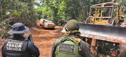 Batalh�o Ambiental aplica multa em mais de R$ 1 milh�o por explora��o irregular de madeira