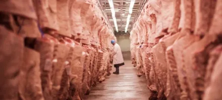 Mato Grosso lidera abate de bovinos e exporta��es de carne no Brasil