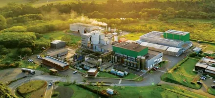 Nova levedura � capaz de aumentar produ��o de etanol de milho em 9%