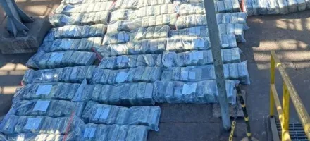 Pol�cia Civil incinera mais de 1 tonelada de supermaconha em Alto Araguaia