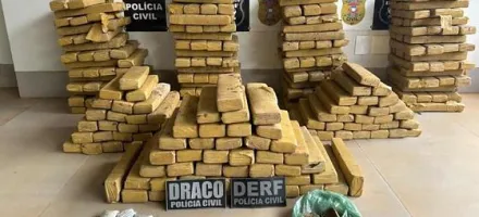 Pol�cia Civil apreende 305 tabletes de maconha e prende gerente de fac��o em Rondon�polis